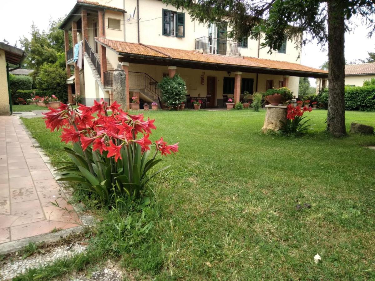 Agriturismo Le Chicche Di Mafalda Montemerano Exterior photo